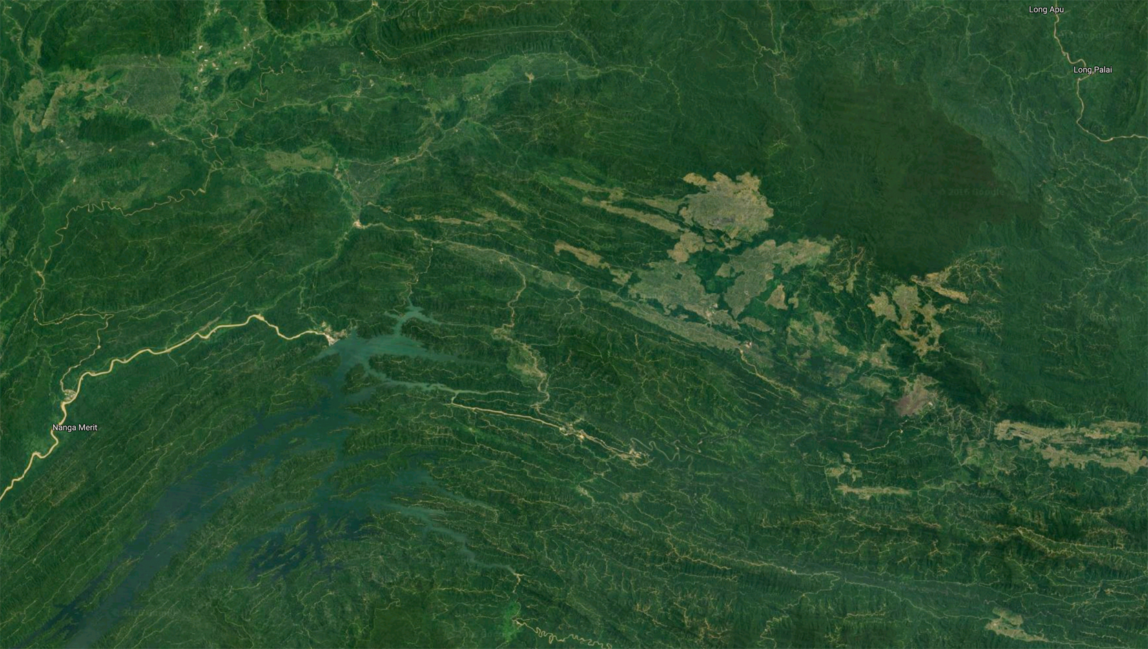 Google Earth image showing deforestation, dams, and logging on lands traditionally managed by indigenous peoples in Sarawak.